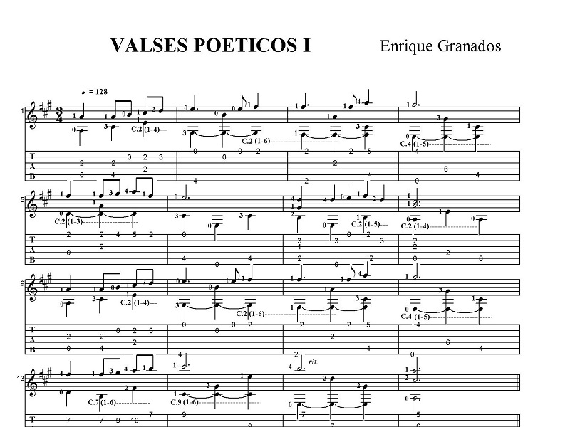 �G�����P�E�O���i�h�X�@���I�ȃ����c�W�@1