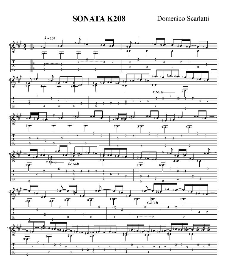 �h���j�R�E�X�J�����b�e�B�\�i�^�C���� K208