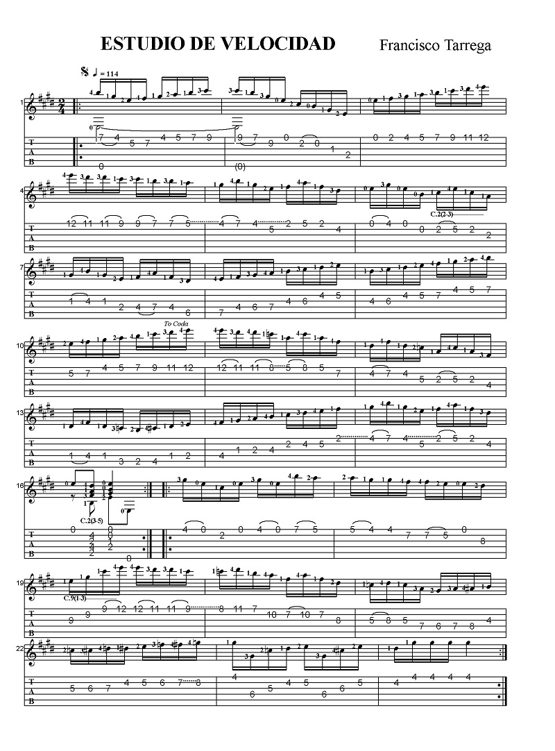 �t�����V�X�R�E�^�����K�@�A���[���̉ؗ�Ȃ���K��