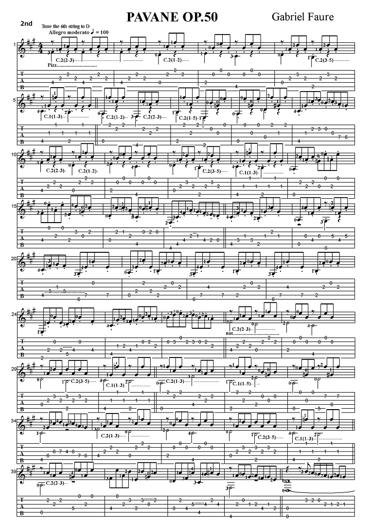 �K�u���G���E�t�H�[�� �p���@�[�k�@��i50 2nd