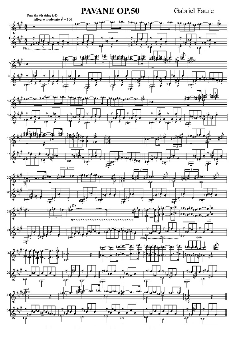 �K�u���G���E�t�H�[�� �p���@�[�k�@��i50 ����